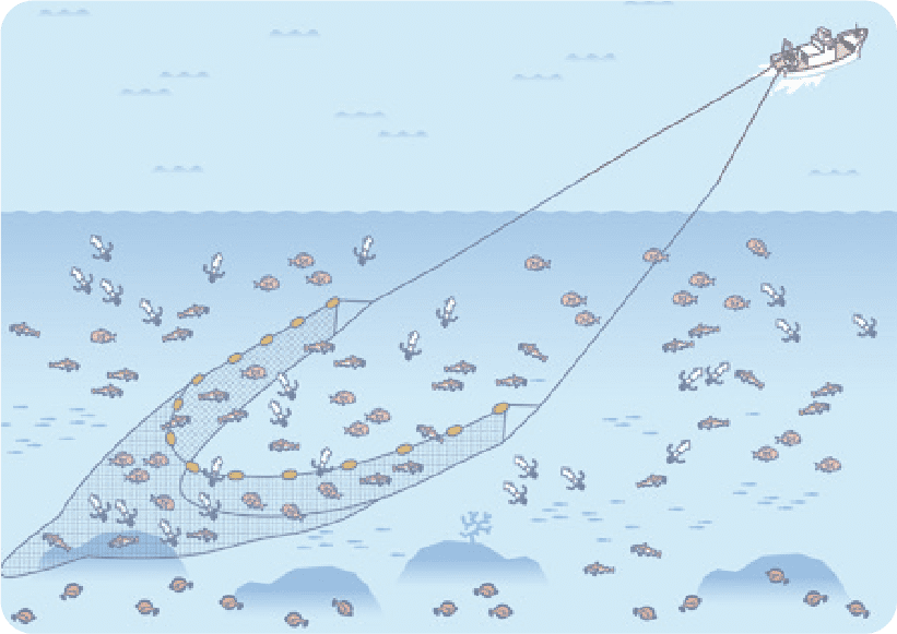 底引きトロール船の図形